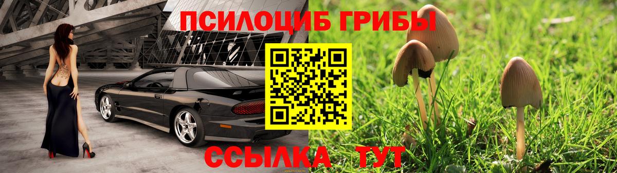 Галлюциногенные грибы GOLDEN TEACHER  Вход с VPN  Кинель 